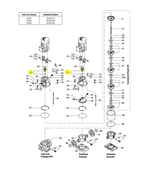 B86596