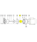 0335-0019-0000