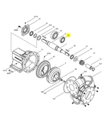 M15097