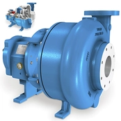 2196R ANSI Recessed Impeller Pumps