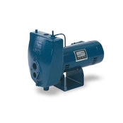 HL Convertible Jet Pumps
