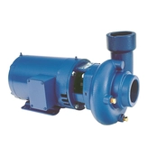3656 3756LH Cast Iron Bronze Pump Series
