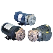 T31 Series Turbine Pumps