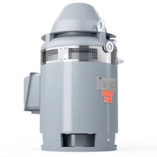 Vertical Hollow Shaft Motors