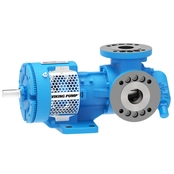 123C Series Steel Externals Internal Gear Pumps