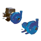 3656 3756 S-Group Cast Iron Bronze Pump Series