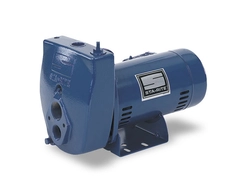 SL ProJet Convertible Jet Pumps