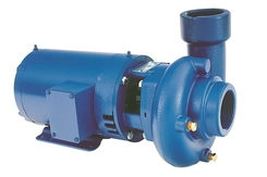 3656 3756LH Cast Iron Bronze Pump Series