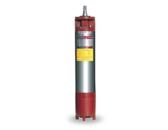 Hitachi 6" Submersible Motors