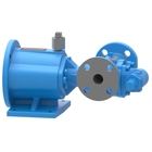 897 Series Stainless Steel Internal Gear Pumps