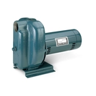 DS2 Self-Priming Centrifugal Pumps