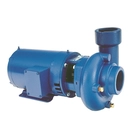 3656 3756LH Cast Iron Bronze Pump Series