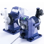 EWP-L / EWP-R Chemical Injection Metering Pumps