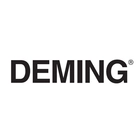 Deming Liquid End Kits