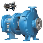 2196LF ANSI Low-Flow Pumps