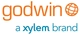 Godwin