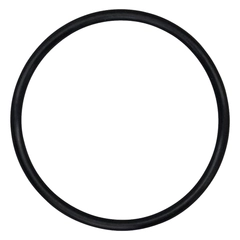 02-1205-53 Wilden Pumps O-Ring AODD Spare Part