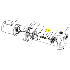 1641-162-91 - AMT-Pumps-Logo-White