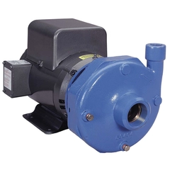 22BF1JAA5 Xylem Goulds 3656 S-Group Close Coupled Centrifugal Pump