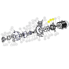 6200-030-95 AMT Pump Repair Parts & Kits, Motor Adapter Kit