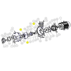 6200-153-98 AMT Pump Repair Parts & Kits, Volute