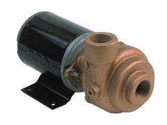 4861-97 AMT Bronze Marine Pump
