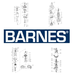 42X488 Barnes Overhaul Kit, Pump Repair Parts & Kits