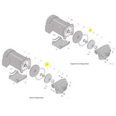 Berkeley Pump C20-121 Water System Parts