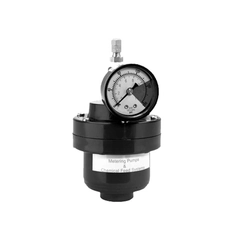 Neptune Pumps PD36PV-V Pulsation Dampener PD36PVV