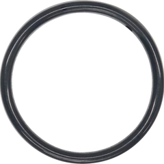 00-1206-60 Wilden Pumps O-Ring AODD Spare Part