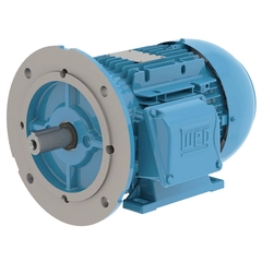 WEG 00156ET3WAL90SFF-W22 IEC TRU-Metric Motor