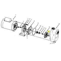 2105-031-00 - AMT Impeller-Seal Teflon Pump Part