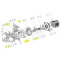 394G-300-90 AMT Pump Repair Part Gasket Kit
