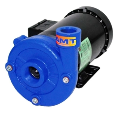 5032-95 AMT Pumps Cast Iron Straight Centrifugal Pump