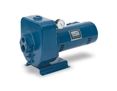 STA-RITE Pumps HMS Series Deep Well Pump HMSE-1FL