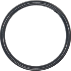 00-1300-60 Wilden Pumps O-Ring AODD Spare Part