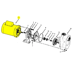 AMT Pump Repair Part 1626-305-00