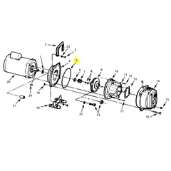 2186-001-00 - AMT Casing Seal Viton Self Priming Pump