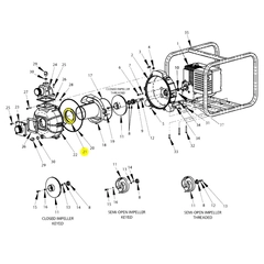 7-137-1 - AMT IPT Check Valve