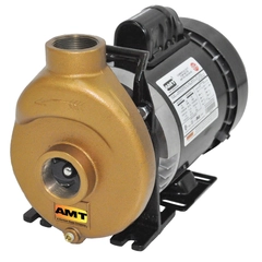 AMT Pump Model Number 388F-97
