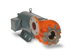 Berkeley Pumps B85692MS1 B4ZPBHS Centrifugal Pump