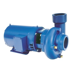 53BF2EEA0 Goulds Pumps 3656 Low Head Close Coupled Pump