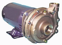 Oberdorfer Pump 109MB