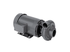 MP Pumps 27385, Series 110 Standard End Suction Centrifugal Pump End Only