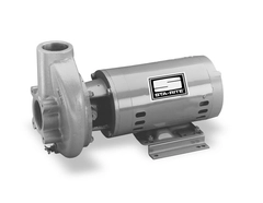 Sta-Rite Pumps CCHJ CC Series Centrifugal Pump