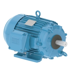 WEG 00518ET3ECT184TF1-W2 Cooling Tower Motor