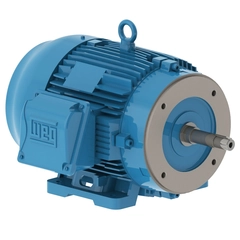 WEG 01036ET3H215JM-W22 Close-Coupled Pump Motor
