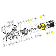 394H-030-95 AMT Pump Repair Part