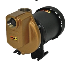 AMT Pump Model Number 3890-97