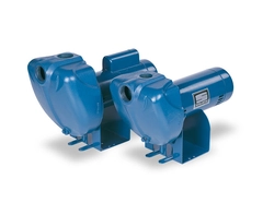 Sta-Rite Pumps DS3HF DS3 Series Self-Priming Pump